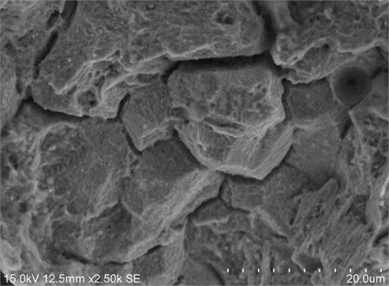 D區(qū)微觀地貌2 D區(qū)微觀地貌2