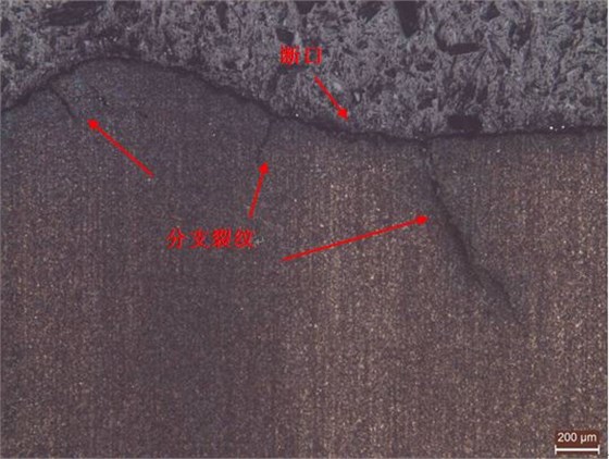 斷裂擴展區(qū)縱截面金相組織 斷裂擴展區(qū)縱截面金相組織