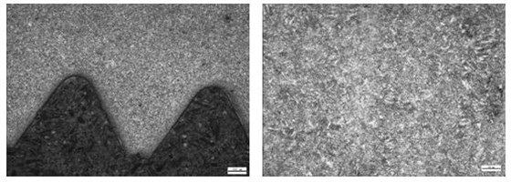 螺紋處表層金相組織 螺栓心部金相組織 螺紋處表層金相組織 螺栓心部金相組織