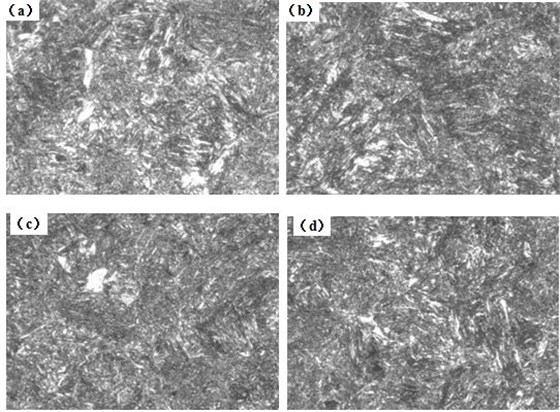 圖12-15 （a、b、c、d） 1～4號(hào)樣金相組織 500&times;