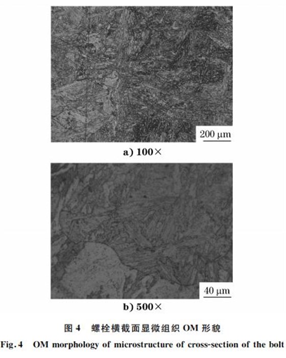 圖4 螺栓橫截面顯微組織 OM 形貌 圖4 螺栓橫截面顯微組織 OM 形貌