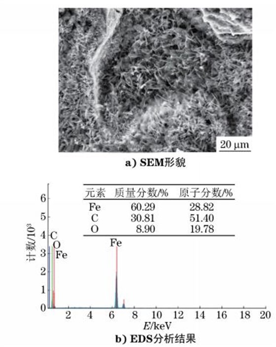 圖6 斷口表面覆蓋物SEM 形貌及 EDS分析結(jié)果 圖6 斷口表面覆蓋物SEM 形貌及 EDS分析結(jié)果