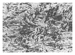40Cr鋼淬火低溫回火金相組織 500&times;