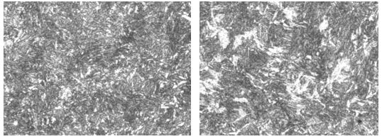 圖16-19 外圈處組織 500× 圖16-20中心處組織500× 圖16-19 外圈處組織 500× 圖16-20中心處組織500×