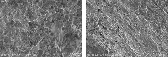 圖15-3 韌窩斷口 圖15-4 方向性明顯的韌窩 圖15-3 韌窩斷口 圖15-4 方向性明顯的韌窩