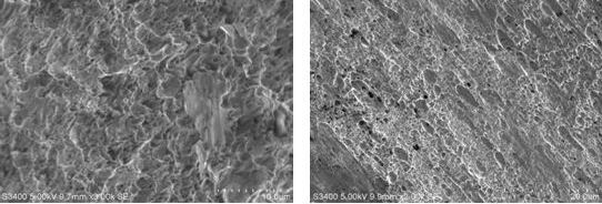 圖15-3 韌窩斷口 圖15-4 方向性明顯的韌窩 圖15-3 韌窩斷口 圖15-4 方向性明顯的韌窩