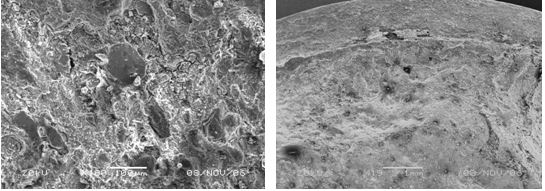 圖13-116 斷口心部微觀形貌 圖13-117 斷口邊沿微觀形貌，