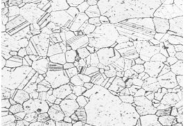 圖5-22 GH738螺栓固溶時(shí)效金相組織100&times;