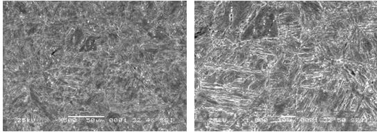 圖16-67 裂紋件的組織形貌 500× 圖16-68 裂紋件的組織形貌 1000× 圖16-67 裂紋件的組織形貌 500× 圖16-68 裂紋件的組織形貌 1000×
