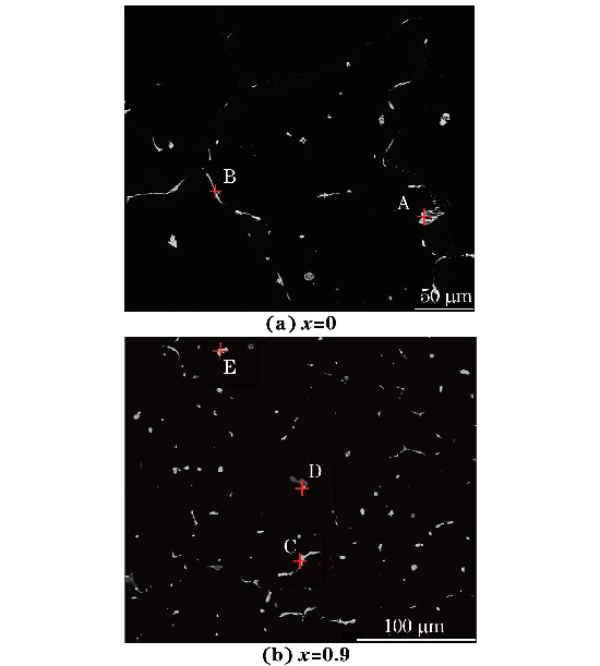 圖3 鑄態(tài)MgG5ZnG1MnGxSn合金的背散射電子像 圖3 鑄態(tài)MgG5ZnG1MnGxSn合金的背散射電子像