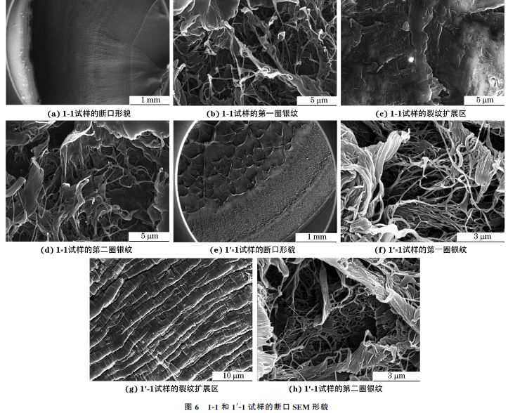 圖６ １Ｇ１和１&prime;Ｇ１試樣的斷口SEM 形貌