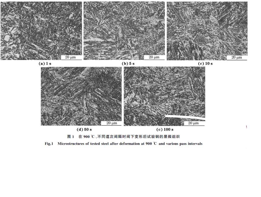 圖１ 在９００ ℃、不同道次間隔時(shí)間下變形后試驗(yàn)鋼的顯微組織